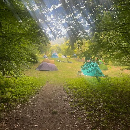 Camping Pole Namiotowe Schronisko Bartne